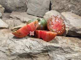 Afbeeldingsresultaat voor black elephant tomato