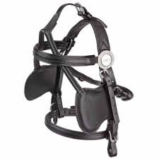 Image result for scheuklappen