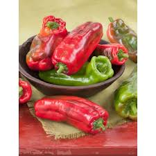 Afbeeldingsresultaat voor long red marconi sweet pepper