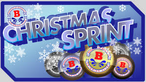 Image result for Borough Of Barnsley Swimming Club