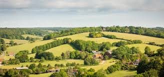 Image result for Chiltern Divers