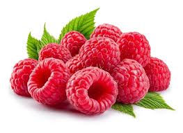 Attēlu rezultāti vaicājumam “Dracocephalum ruyschiana fruit”