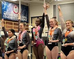 Image result for Haverfordwest Gymnastics Club