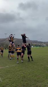 Image result for Aberdare Rugby Union Football Club