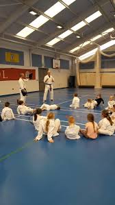 Image result for Burnley Wado Ryu Karate Club