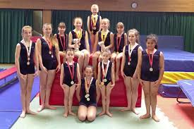 Image result for Stockport School Of Gymnastics