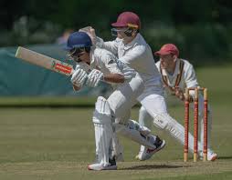 Image result for Methley Cricket Club