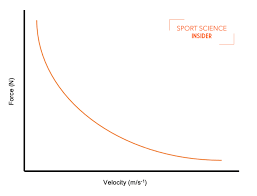 Image result for Velocity