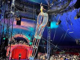 Image result for D.A.R.E!! Development + Switch RadIO