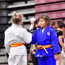 Image result for Universal Judo Academies