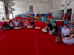 Image result for Wickers Gymnastics Club