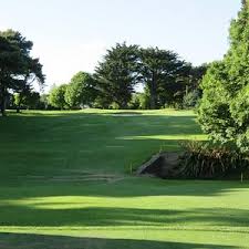 Image result for Carlow Golf Club