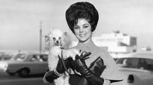 Attēlu rezultāti vaicājumam “Licea pusilla young”