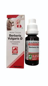 Attēlu rezultāti vaicājumam “Berberis vulgaris”