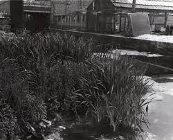 Image result for Worsley Cruising Club Ltd