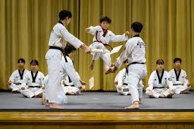 Image result for South Bank Taekwondo