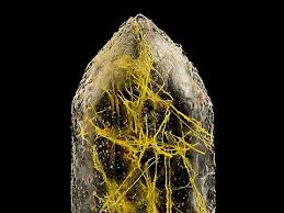 Attēlu rezultāti vaicājumam “Arcyria major macro”