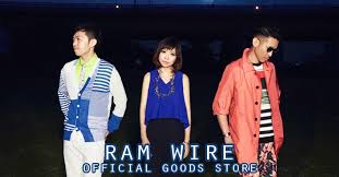 Image result for RAM WIRE