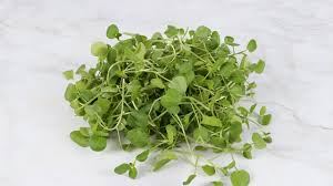 Image result for Brunnenkresse