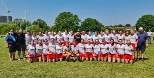 Image result for Tir Chonaill Gaels G A A Club