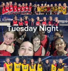 Image result for Robins Netball Club