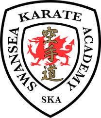 Image result for Swansea Taekwondo Club