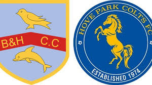 Image result for Edenbridge Cricket Club