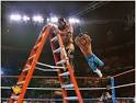 Ladder match - Pro Wrestling Wiki - Divas, Knockouts, Results ...