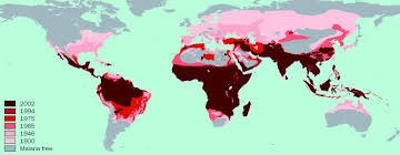 Attēlu rezultāti vaicājumam “Dianema depressum plasmodium”