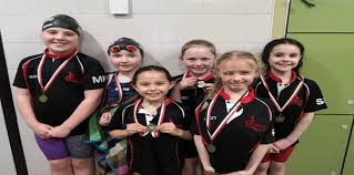 Image result for Kingsbury Aquarius Swimming Club