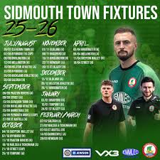 Image result for Sidmouth Town Association Football Club