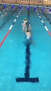 Image result for Belgrave Swimming Club