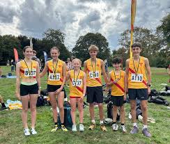 Image result for Hercules Wimbledon A C