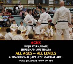 Image result for GoJu-Kai Karate Club