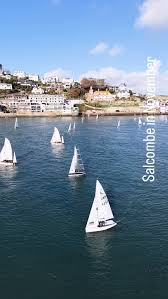 Image result for Salcombe Yacht Club