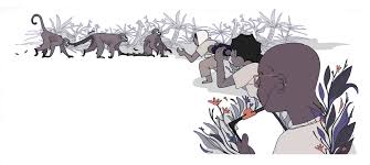 Image result for Rylands Cc