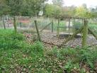 SK2253 : Reed beds and sampling point, Brassington sewage works - via Daymix
