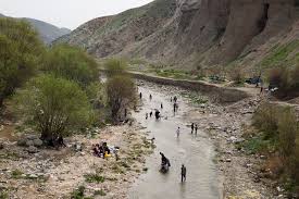 Image result for selvatici tehron