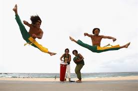 Image result for Brazilian-martial arts