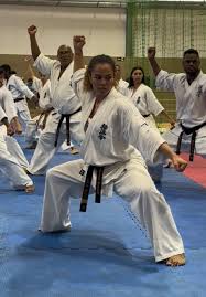 Image result for Kyokushin Karate