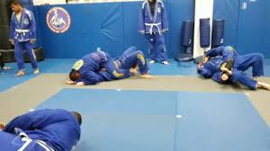 Image result for Guerrero Martial Arts