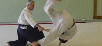 Image result for White Oak Aikido Reading