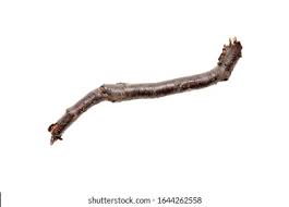 Image result for rounded stick