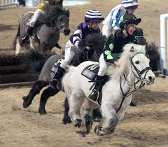 Image result for Liverpool Equestrian Club