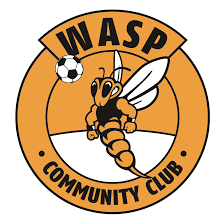 Image result for Wasps Football Club