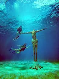 Resultado de imagen para cozumel dive