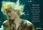 Photographer: Zena Holloway