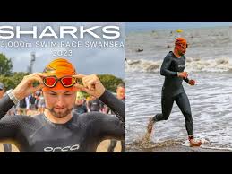 Image result for SwimSwansea