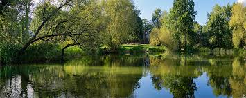 Image result for Leatherhead & District Angling Society