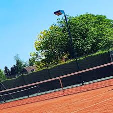 Image result for Esher Lawn Tennis Club